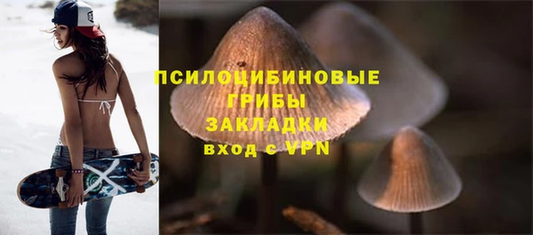 2c-b Осинники