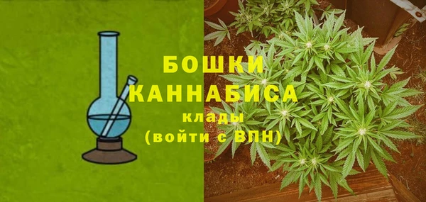 МДПВ Осташков