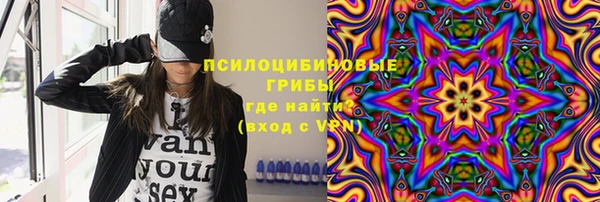 стафф Тавда