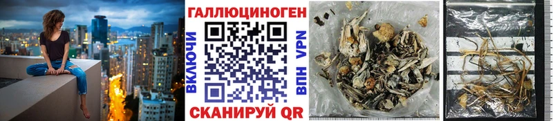 Галлюциногенные грибы Psilocybe  дарнет шоп  Азнакаево 